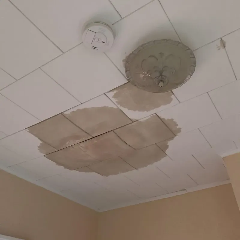 Ceiling Water Damage Repair in Andover, NH