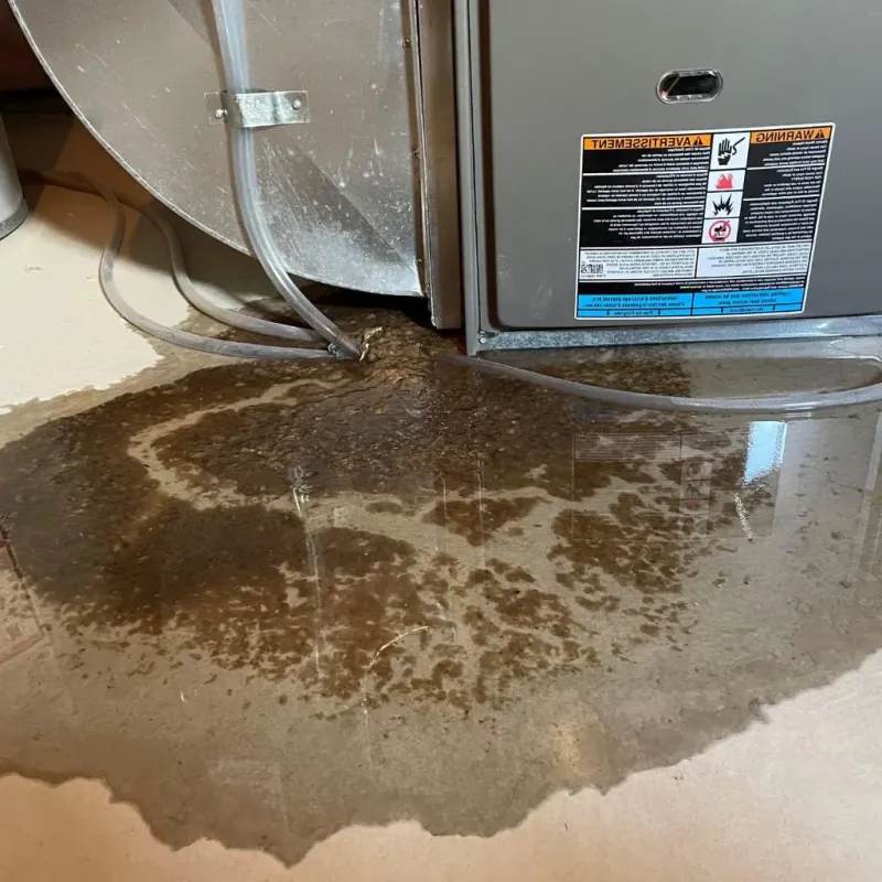 Pipe Burst and Leak Restoration in Andover, NH
