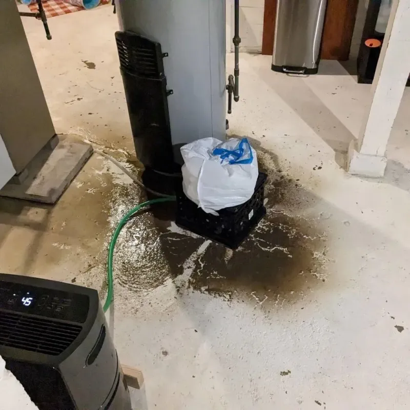 Sewage Backup Cleanup Service in Andover, NH